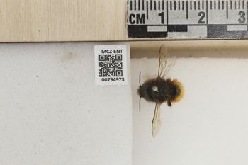 Media type: image;   Entomology 794973 Aspect: Labels